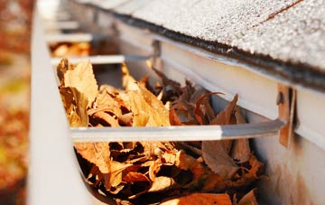 Sidlesham Common gutter cleaning companies