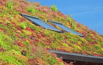 Sidlesham Common living roof systems