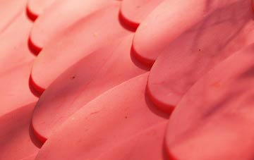 Sidlesham Common plastic roof costs